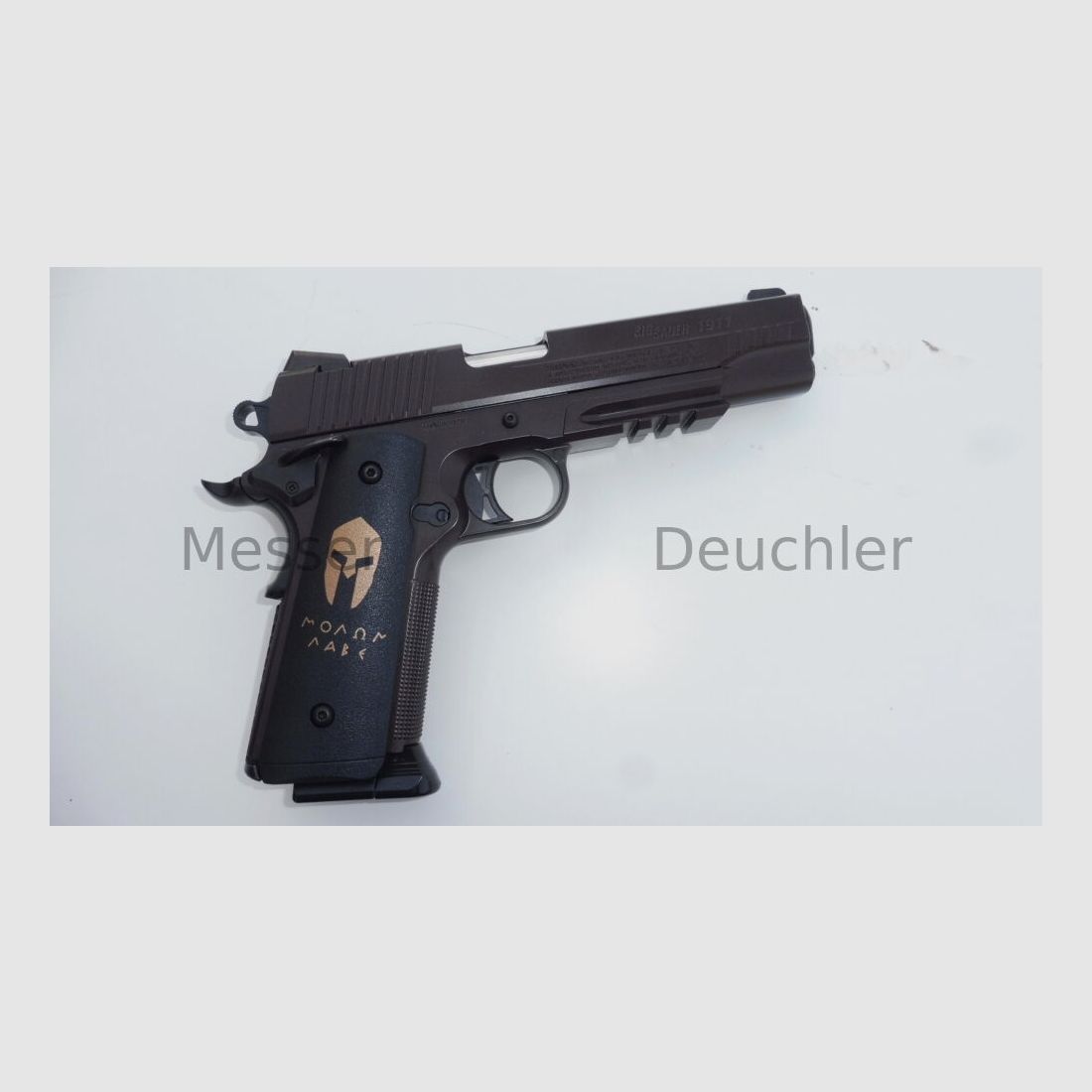 Sig Sauer 1911 Spartan