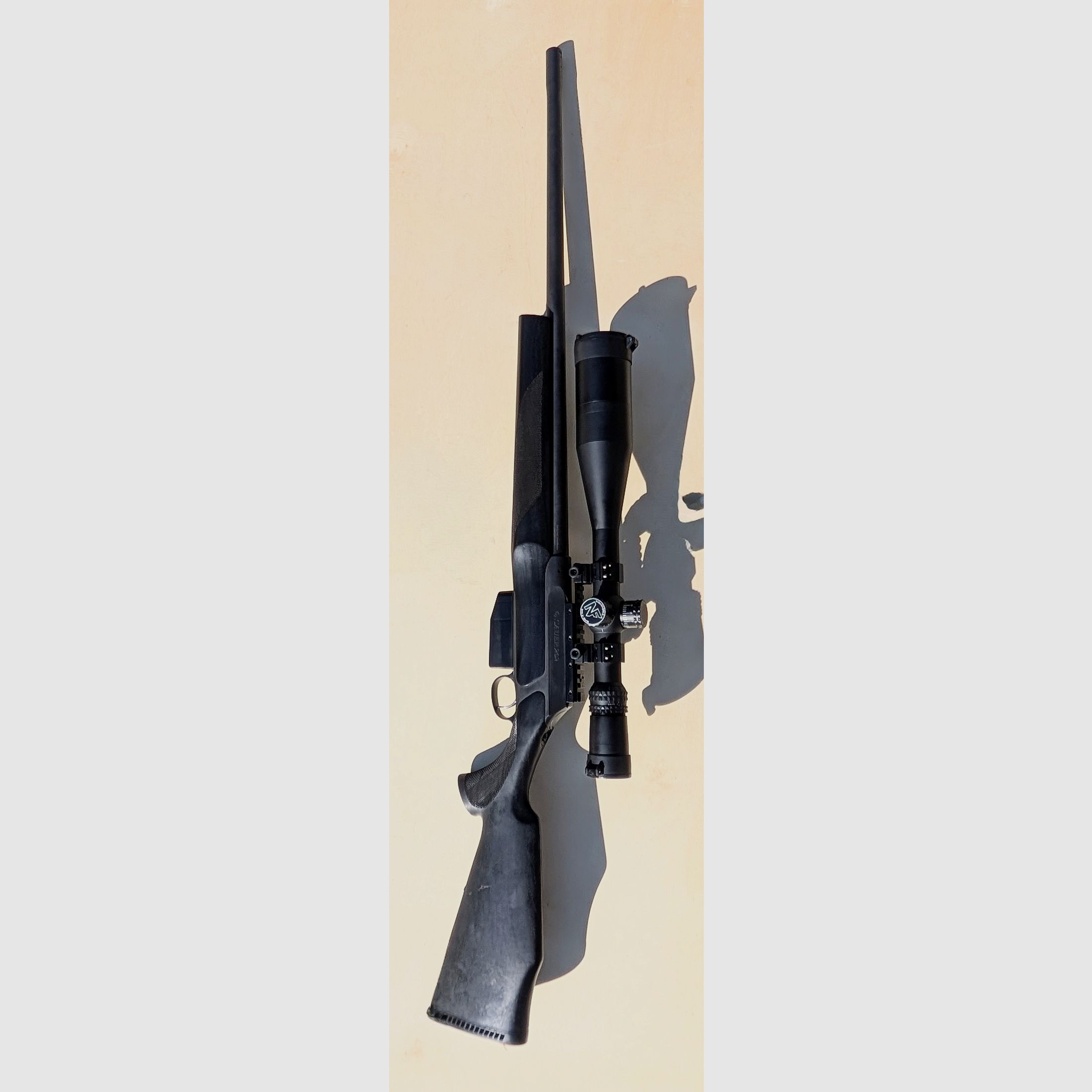 Sauer 202 