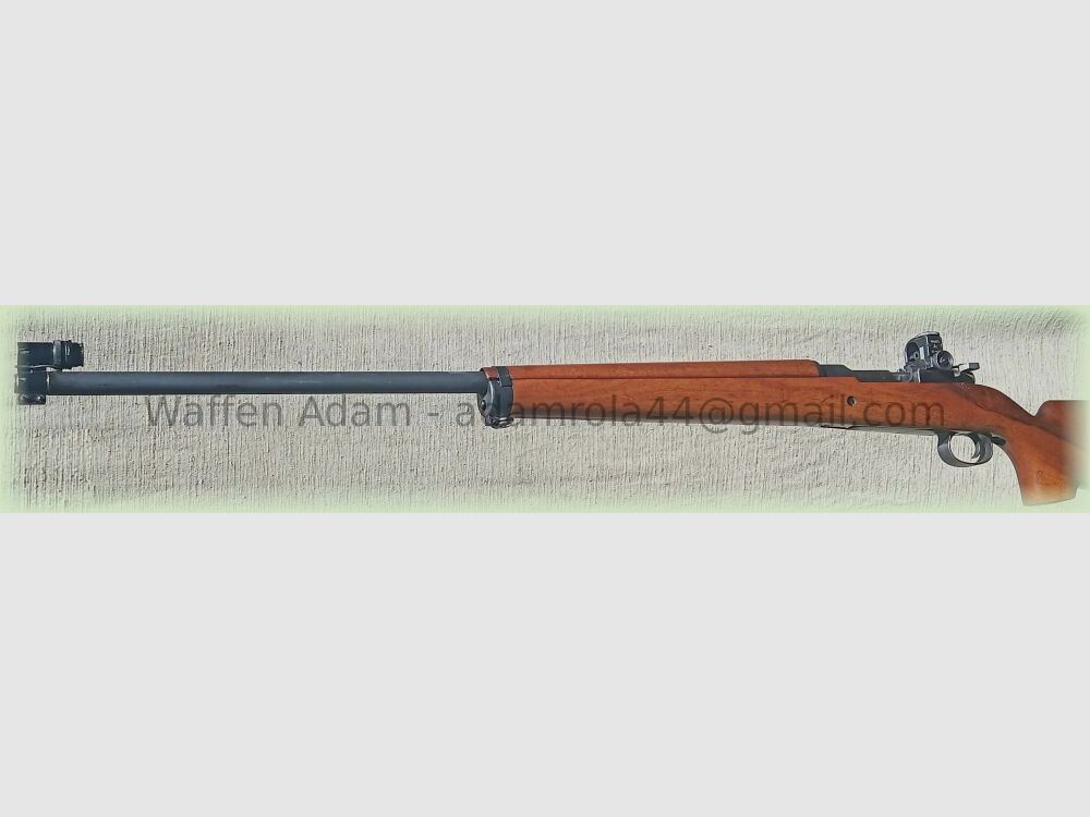 Mauser Carl Gustaf M.63, Söderin Diopter, Adlerauge