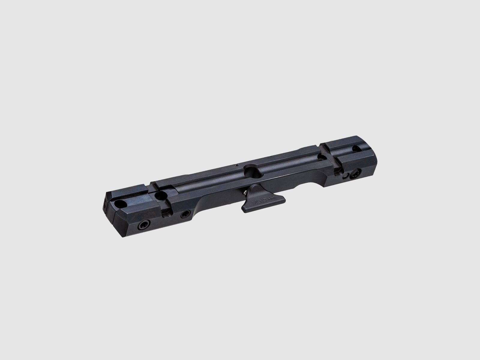 Dentler rail de base VARIO