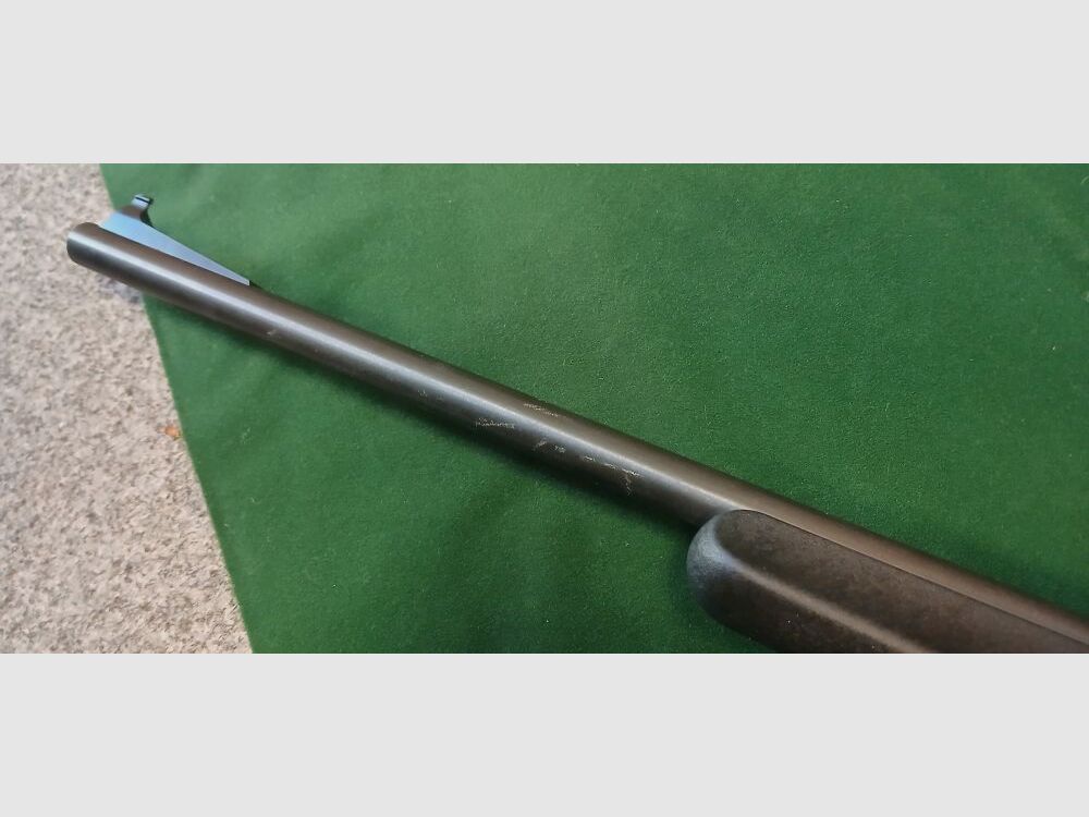Remington 522 Viper