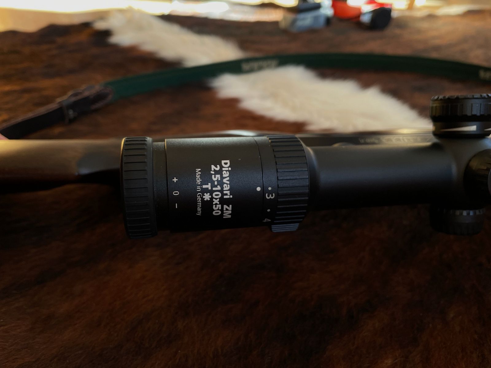 Sauer 202 | Cal. .30-06 | Zeiss Diavari 2,5-10x50 (point lumineux)