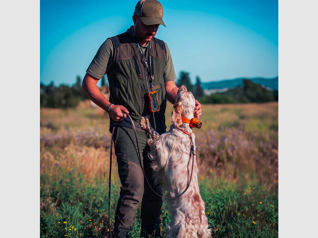MIDLAND – BEEPER ONE LITE | ADDITIONAL COLLAR, image 6 of 7