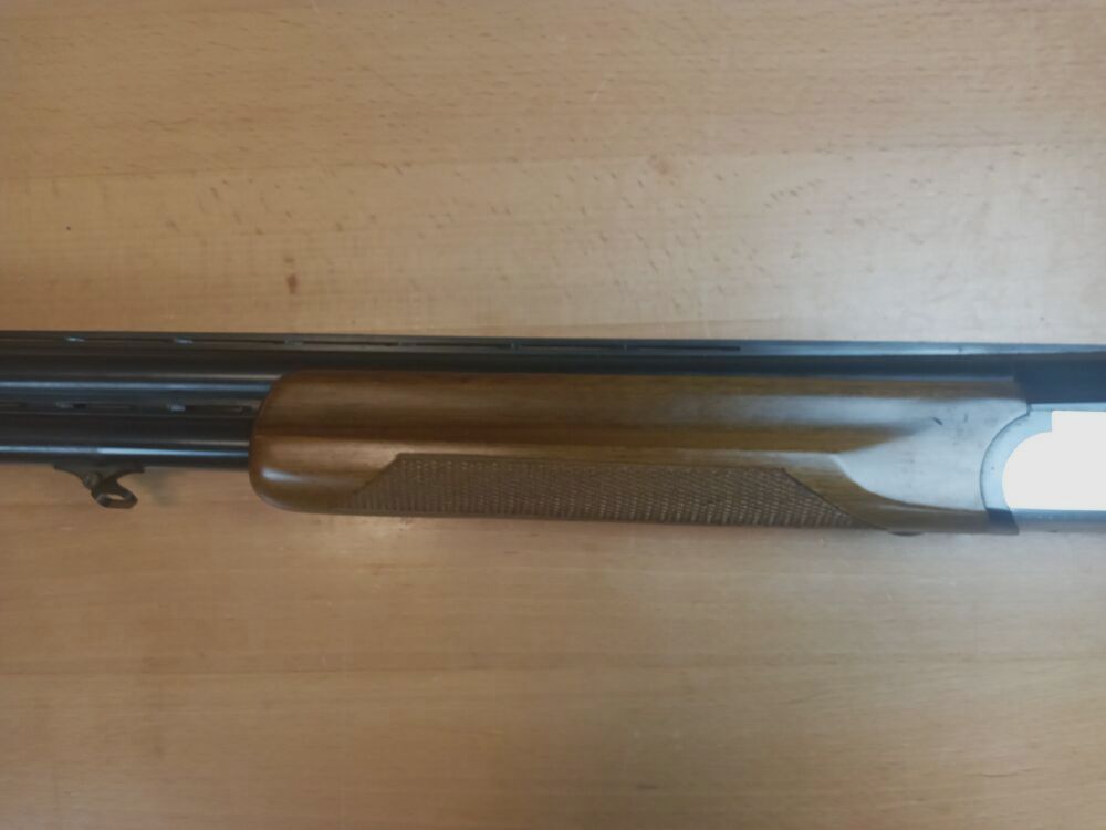 Rottweil Model 500