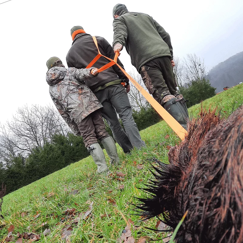 Aide à la récupération de gibier DJV (3 personnes), image 3 sur 5