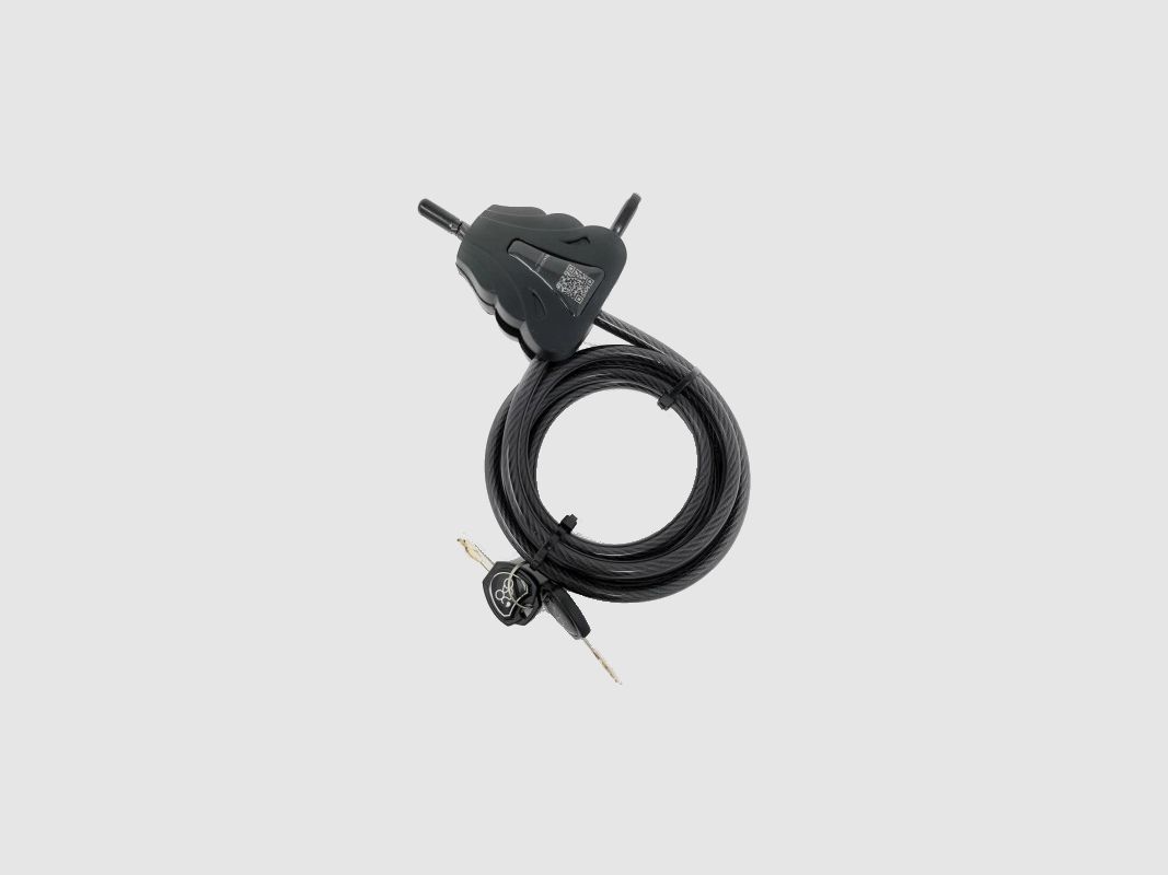 ICULock Kabelschloss für Metallbox 2 m