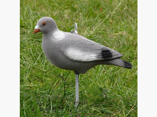 il Lago Passion Ringeltaube Vollschale (beflockt) |