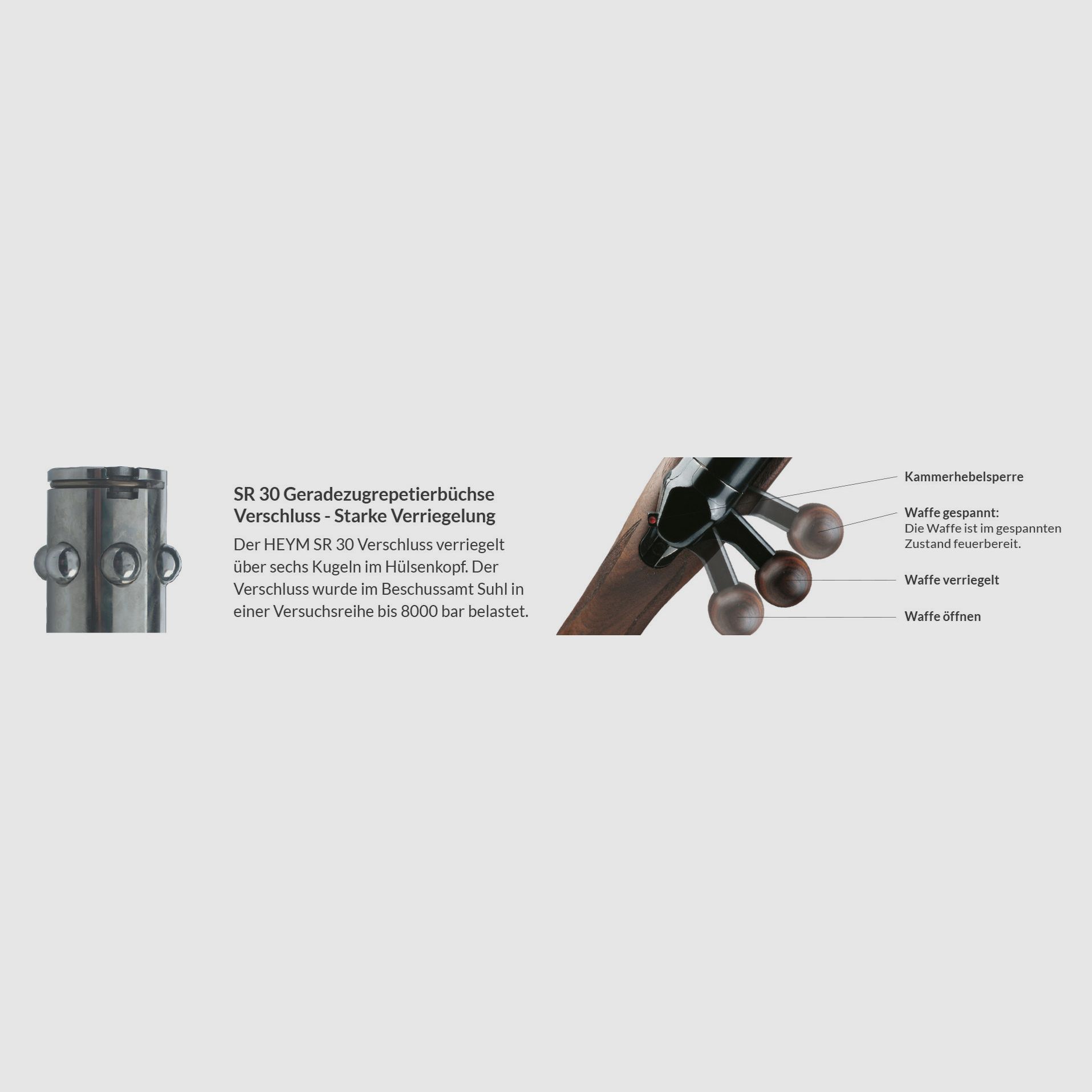 Repetierer Heym SR30 Black Carbon Ranger .308 Win. (7.62x51) Carbon Universal-Lochschaft, Rechtssystem, LL500mm, MT M14x1, mit Picatinnyschiene, Bild 2 von 3