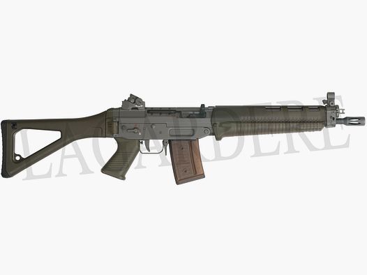 SIG SG 551-2 AUTOMATICO (FUCILE D'ASSALTO AUTOMATICO)