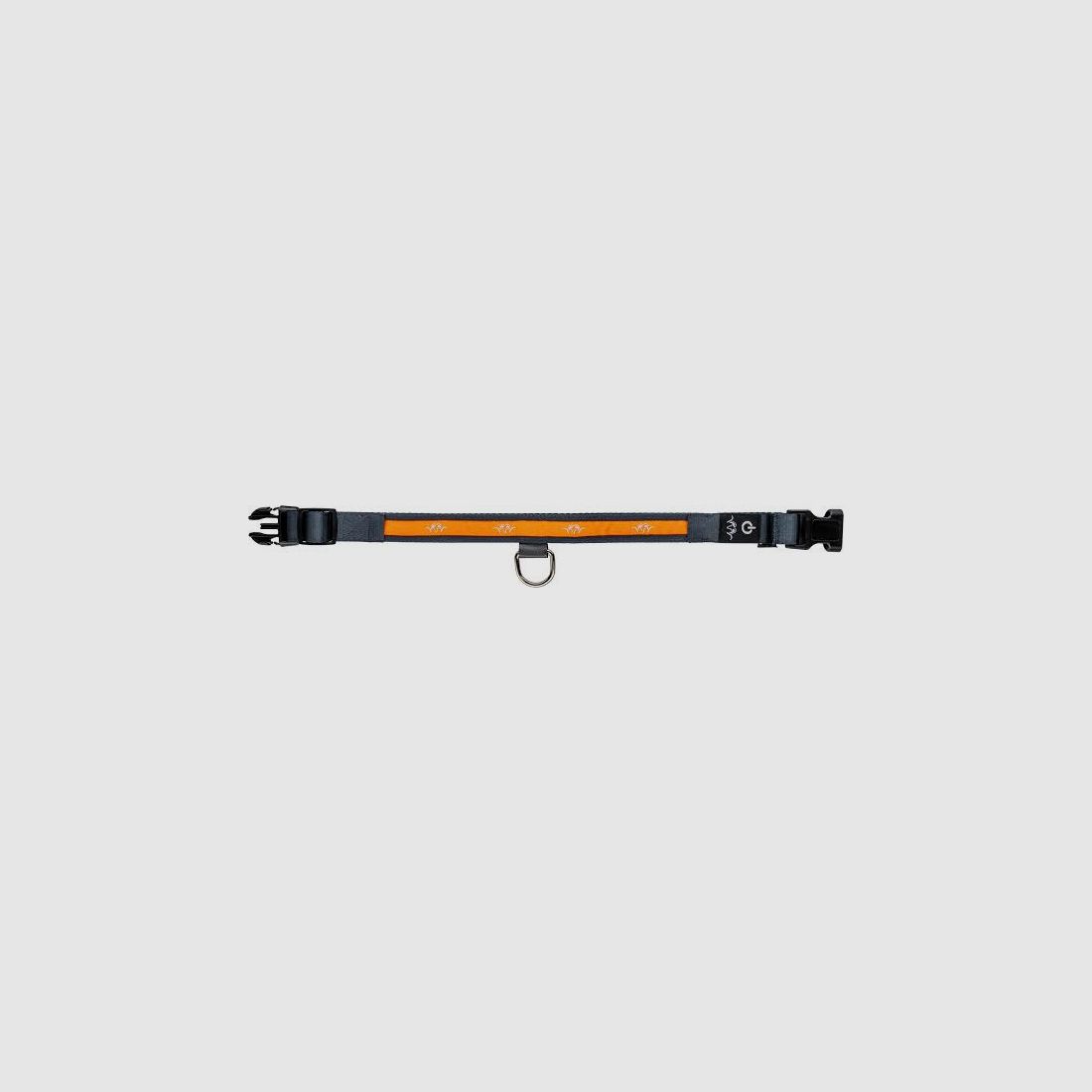 Halsband Hund Blaser LED