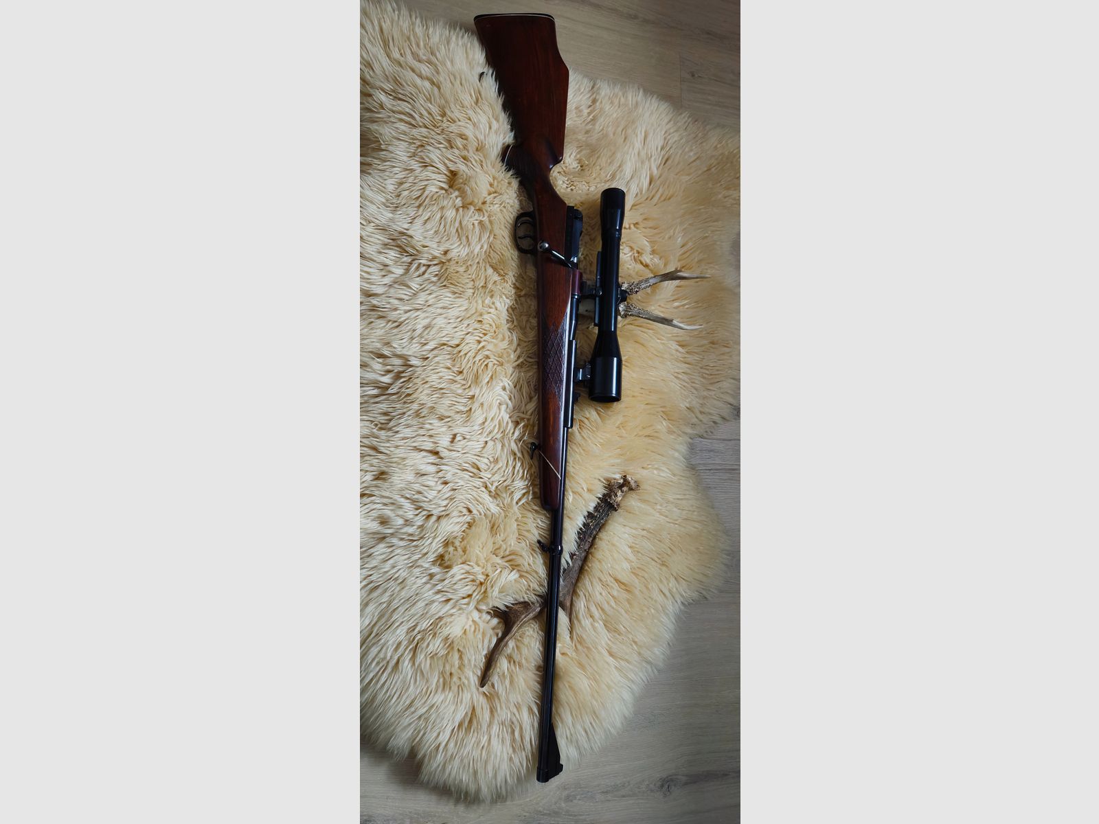 Mauser 66