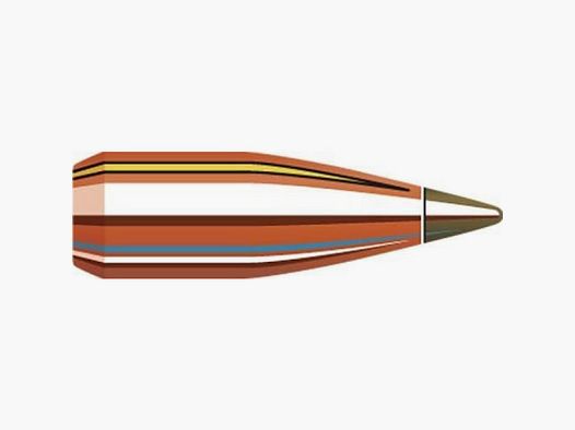 Geschosse Hornady NTX
