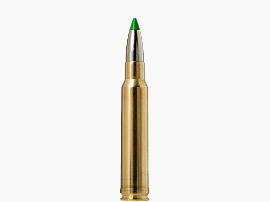 Norma .338 WIN MAG ECOSTRIKE 13 g 200 gr - 20 Stk