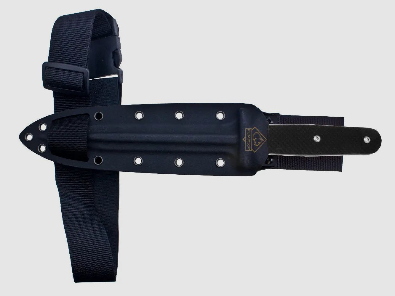 PUMA XP pig sticker 15, couteau de scalpe, pakkawood noir avec peau de poisson, étui en kydex