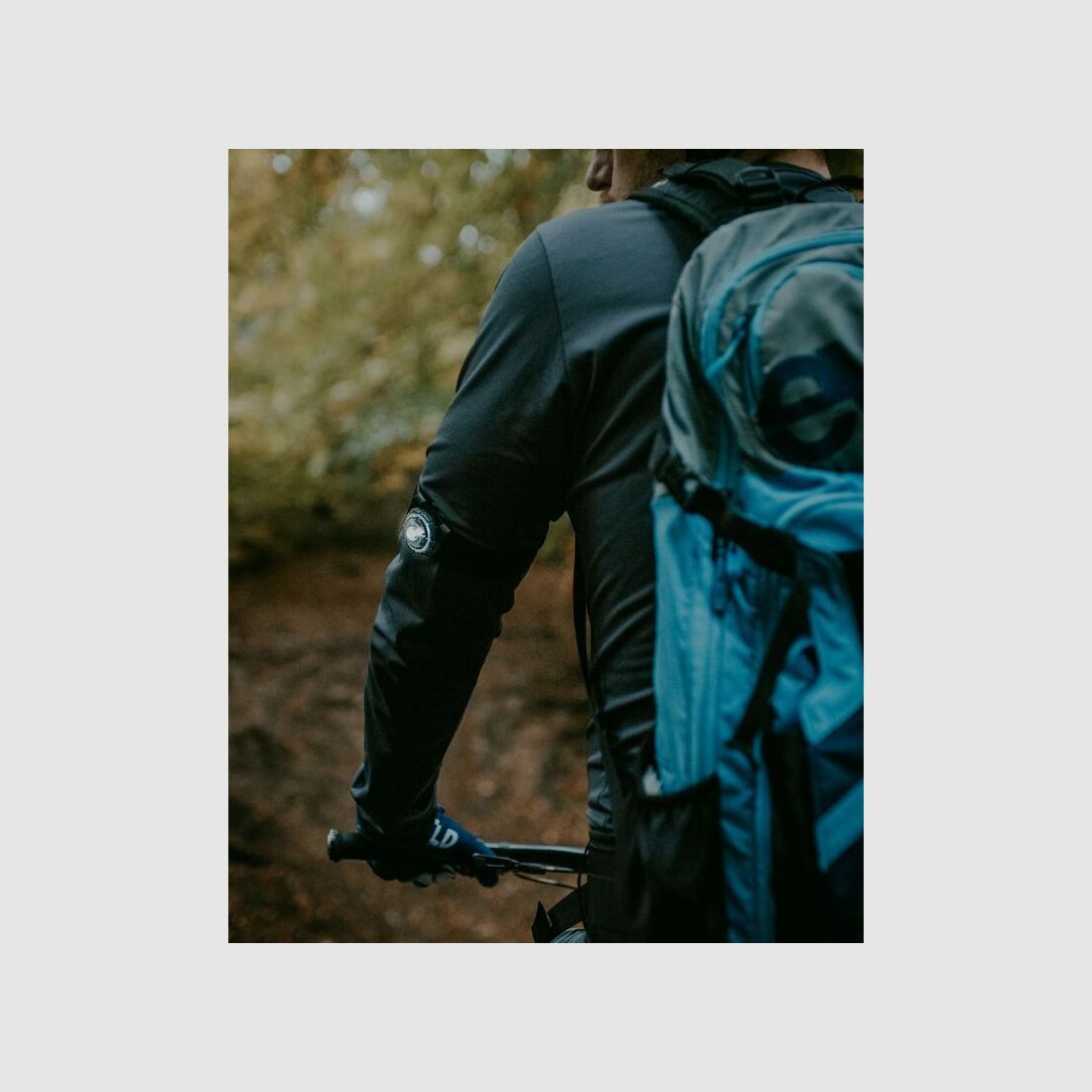 Orbiloc LED-Sicherheitslicht K9 Active – Leuchten für Hundesportler