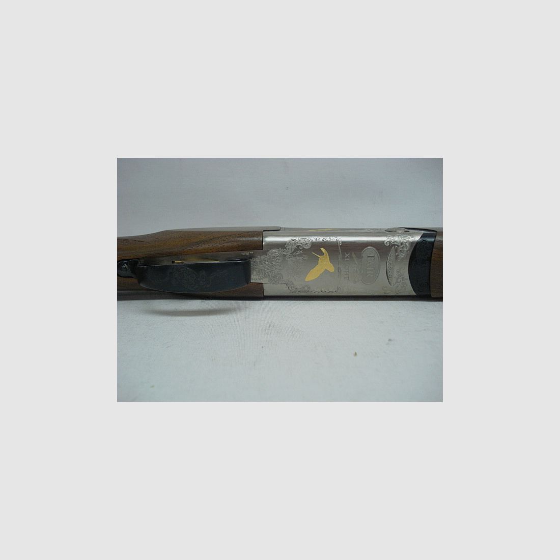 XLight EM XP50 LL71cm - 12/76