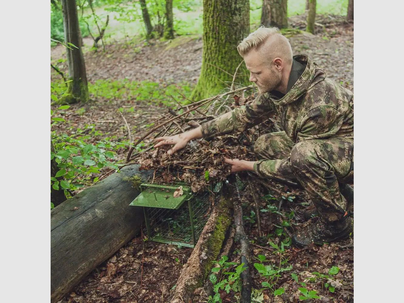 Trampa trampa captura viva - dos puertas abatibles