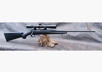 Ruger American Rifle