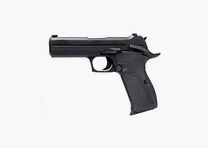 SIG SAUER P210 CARRY