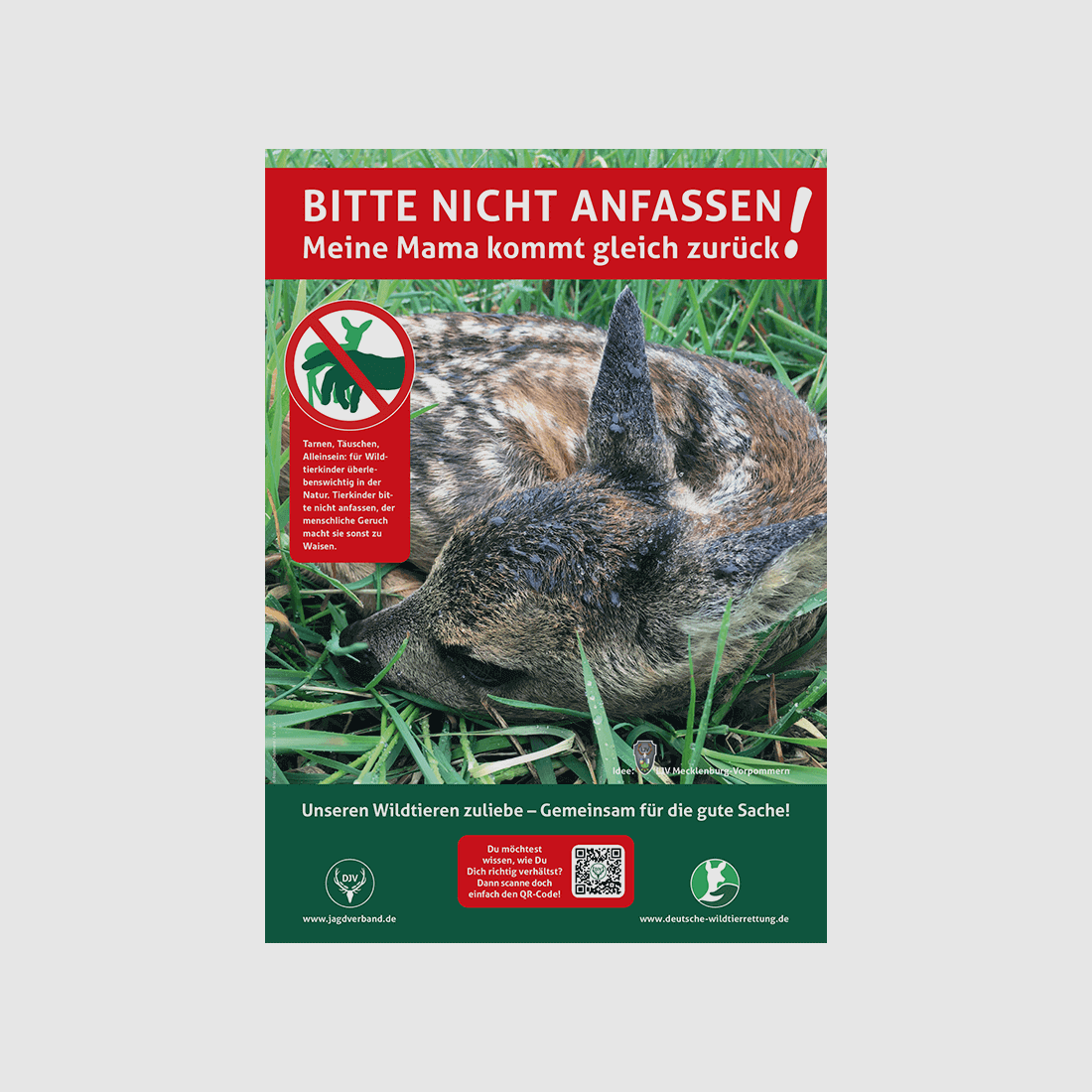 Hinweisschild Kitzrettung "Bitte nicht anfassen" A3