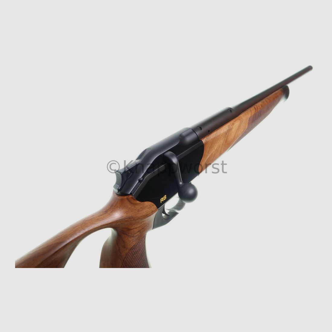 Blaser-Waffen Blaser R8 Success