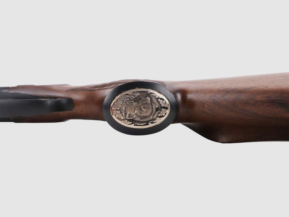 Blaser B95 Links