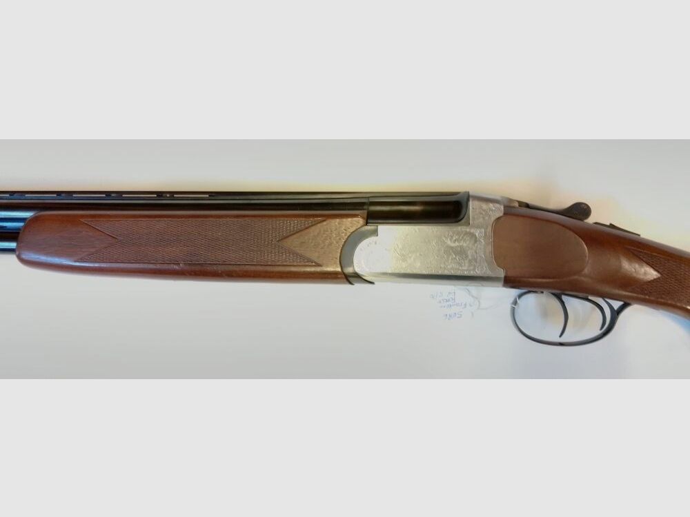 Foresta di Franconia