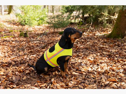 Nordforest Hunting Hundewarnweste