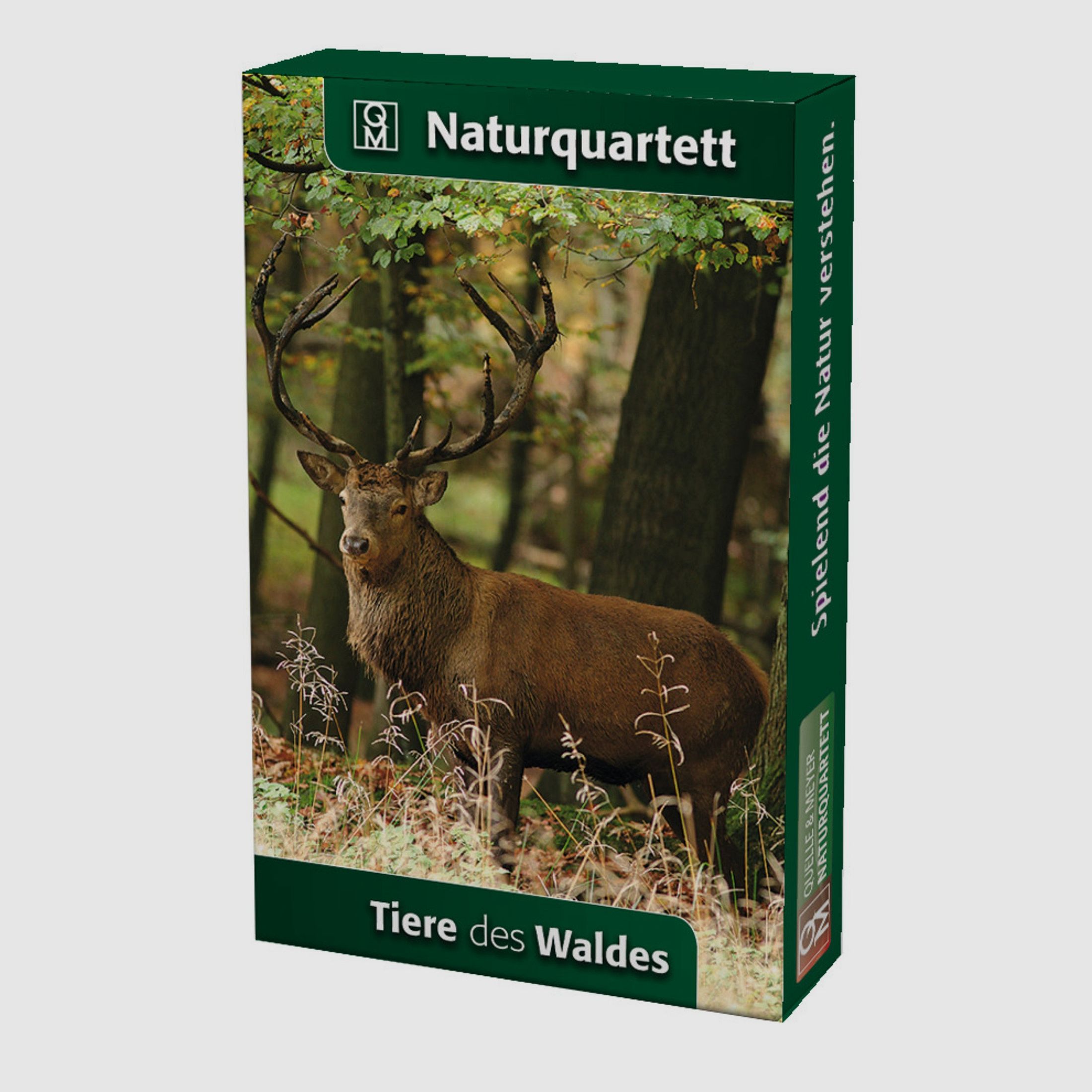 Naturquartett Tiere des Waldes