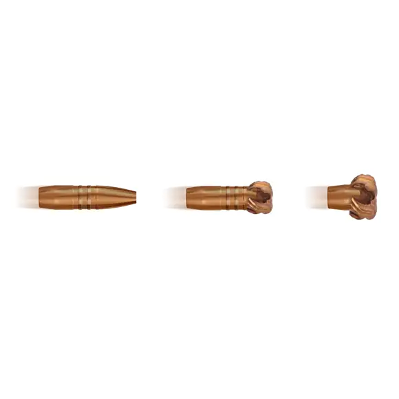 Pociski myśliwskie 8x57 JS Geco Star - 160 grains, zdjęcie 5 z 6