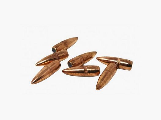 S&B 55gr FMJ Bullets 223-55gr-FMJ-500 pcs.