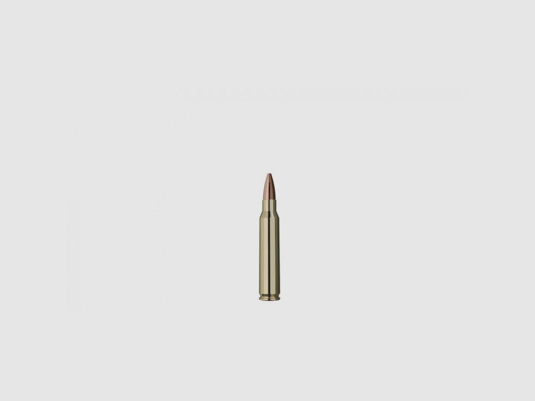 RWS 223 REM 77 GRS / 4.9 G TARGET ELITE PLUS 20 PCS, image 2 of 2