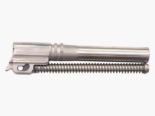 SIG P210(CANON)