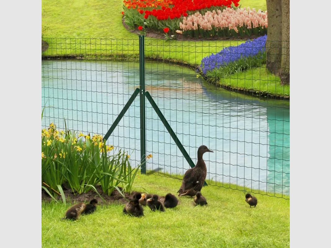 Kit complet rouleau 20 m grillage soudé PVC - Maille 100x75mm - Fil 2,1mm - Hauteur 1,50 m, image 4 sur 13