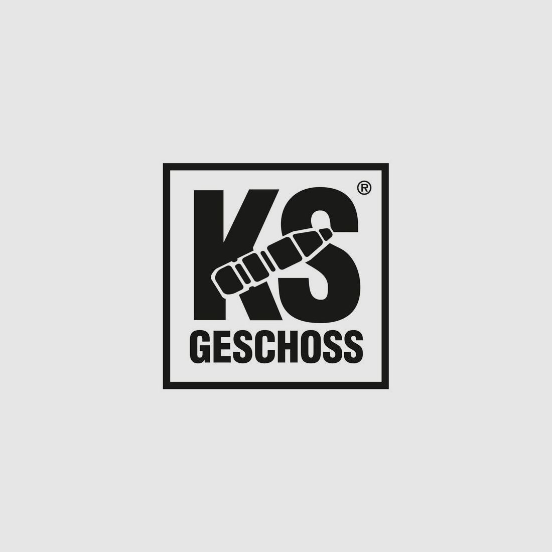 RWS .30-06 Spr. KS 10,7g/165gr, Bild 6 von 6