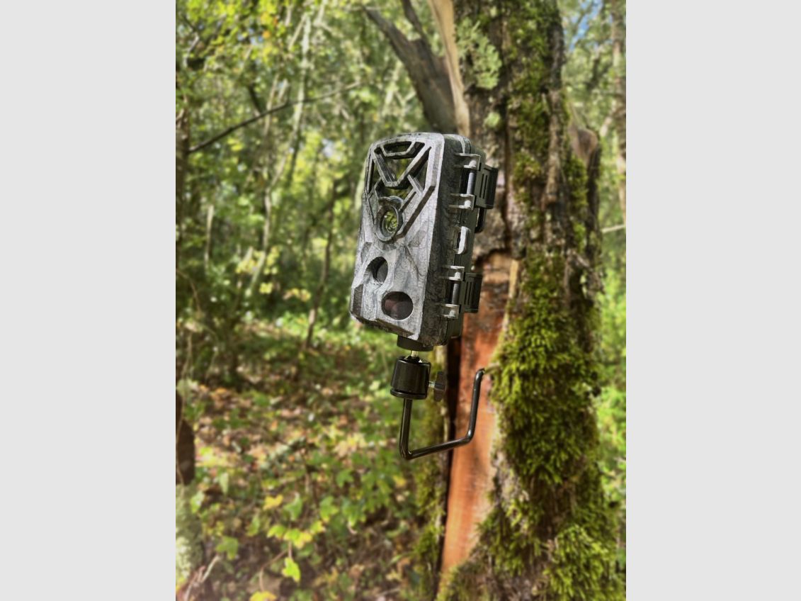 Wildkamera Pisteur Camo Wifi, Bild 2 von 2