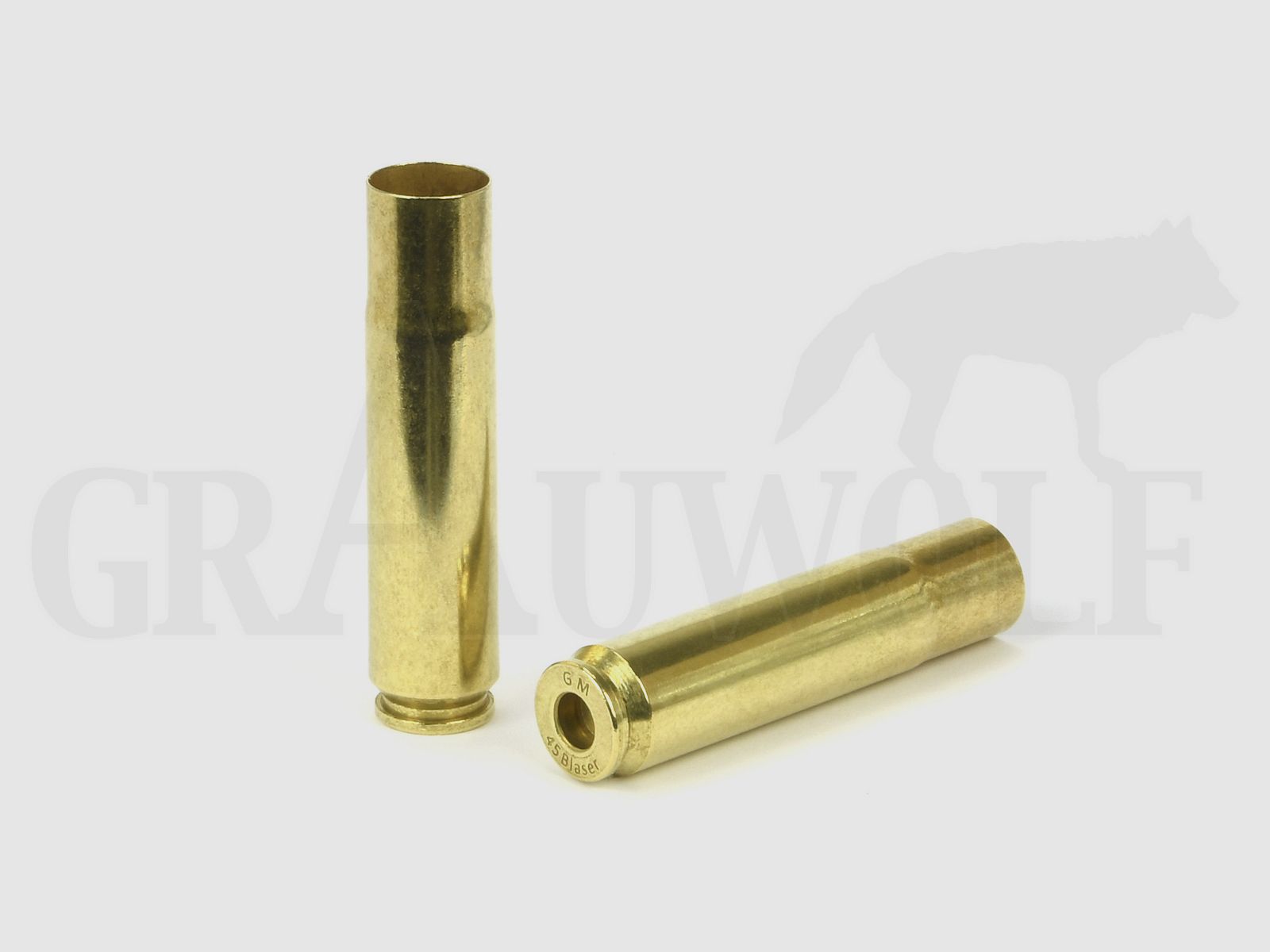.45 Blaser GM Hülsen 50 Stück