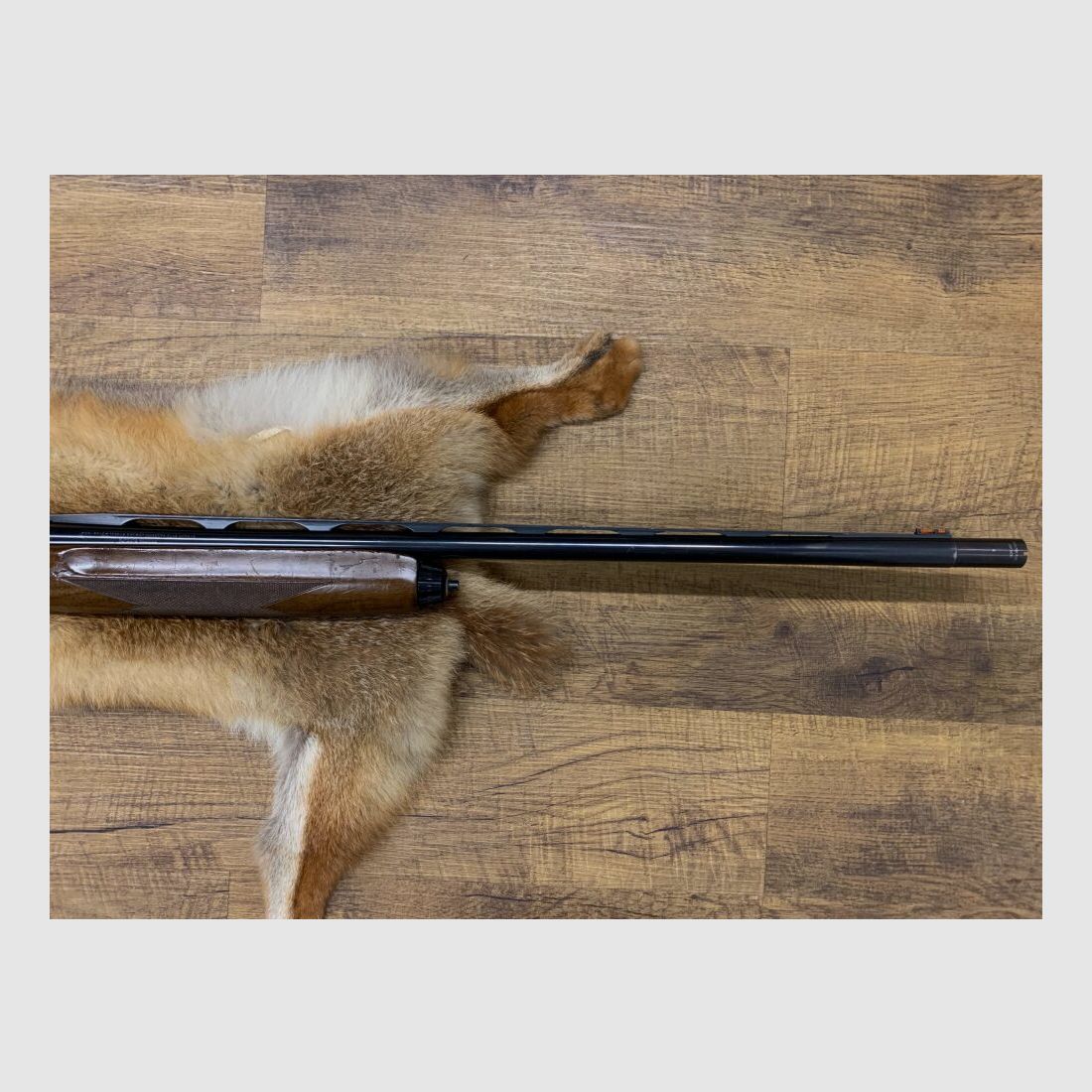 Browning Fusion Gold