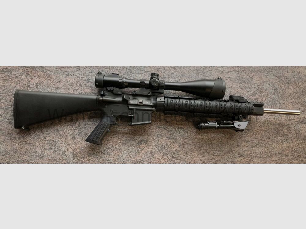 DPMS / Shilen / AR15 personalizzato