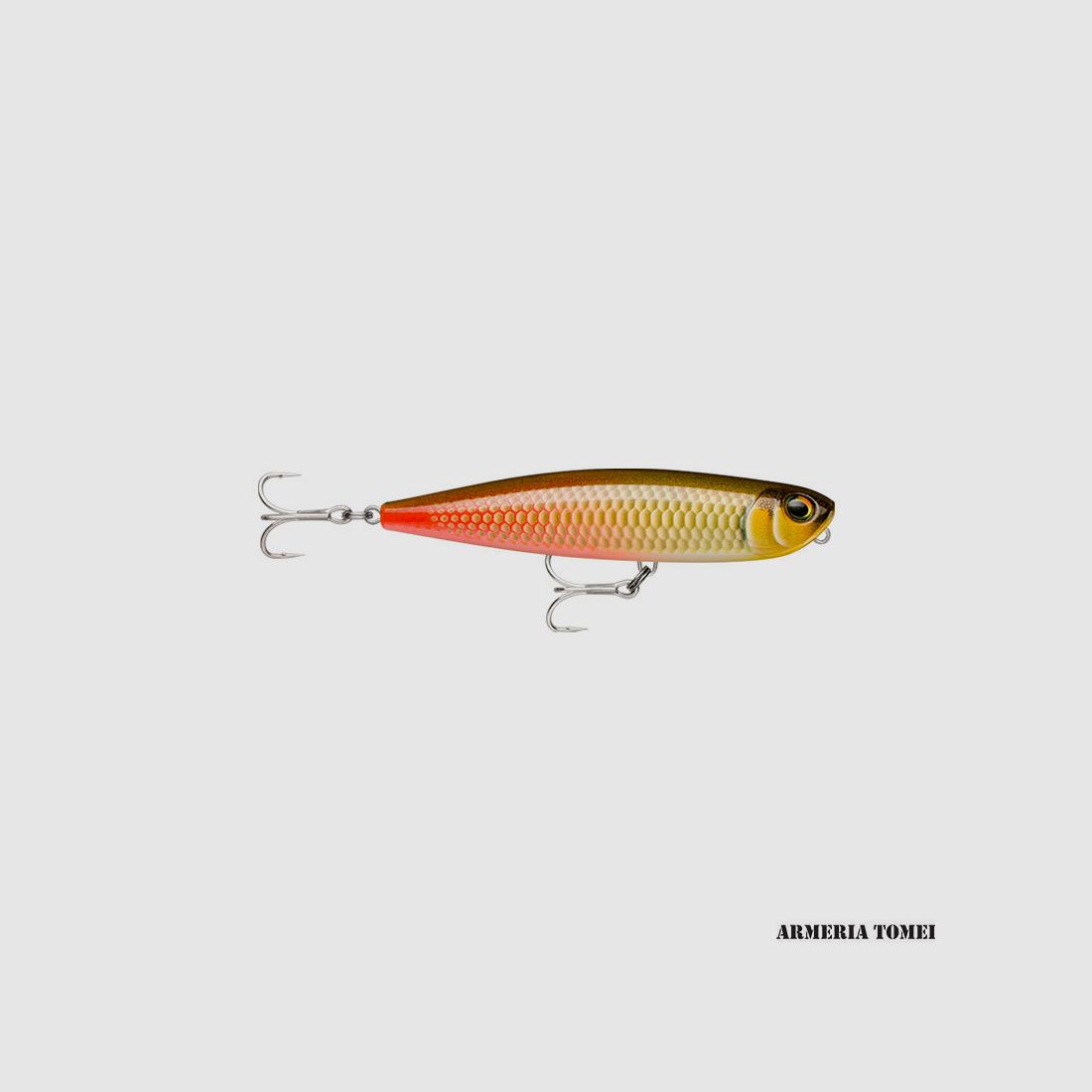 RAPALA – PRECISION XTREME PENCIL 127 EXO 12,7 cm 5″ 26 g 15/16 oz. Arapaima