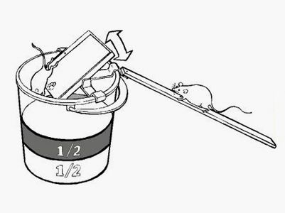 Piège à souris Wippo Matic
