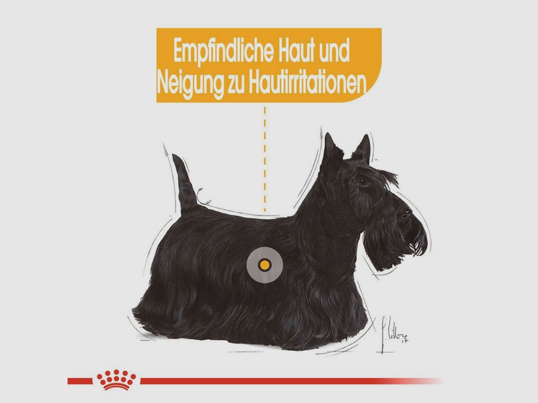 ROYAL CANIN Kleine Hunde Trockenfutter Dermacomfort Mini für empfindliche Haut