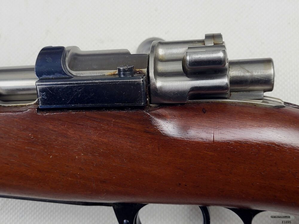 DWM Argentino 1909