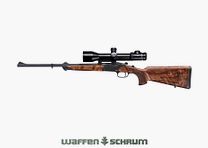 Offre complète Blaser K95 classe de bois 3 incl. optique