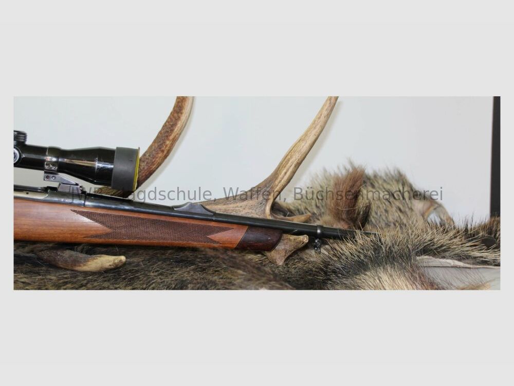 Sauer & Sohn 90 with Kahles Helia .308Win
