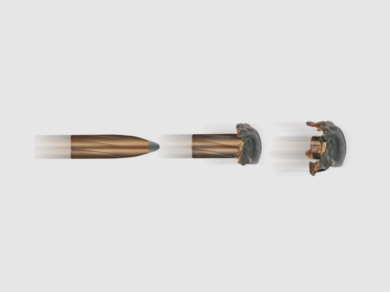 Geco Softpoint .30-06 TM 11,0g 170gr