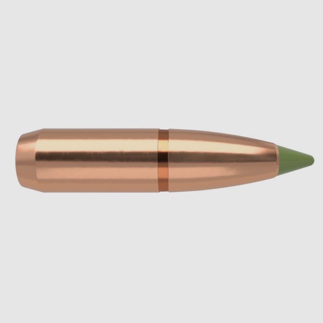 Nosler Hunting Cal. .30 Expansion Tip in 168 Grain #59415