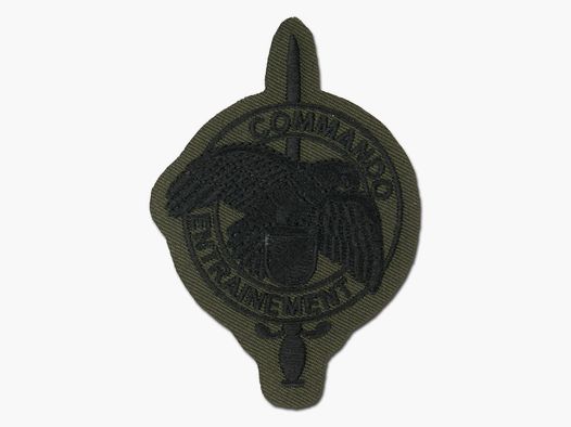 Unbekannt Abzeichen FR Commando Entrainement