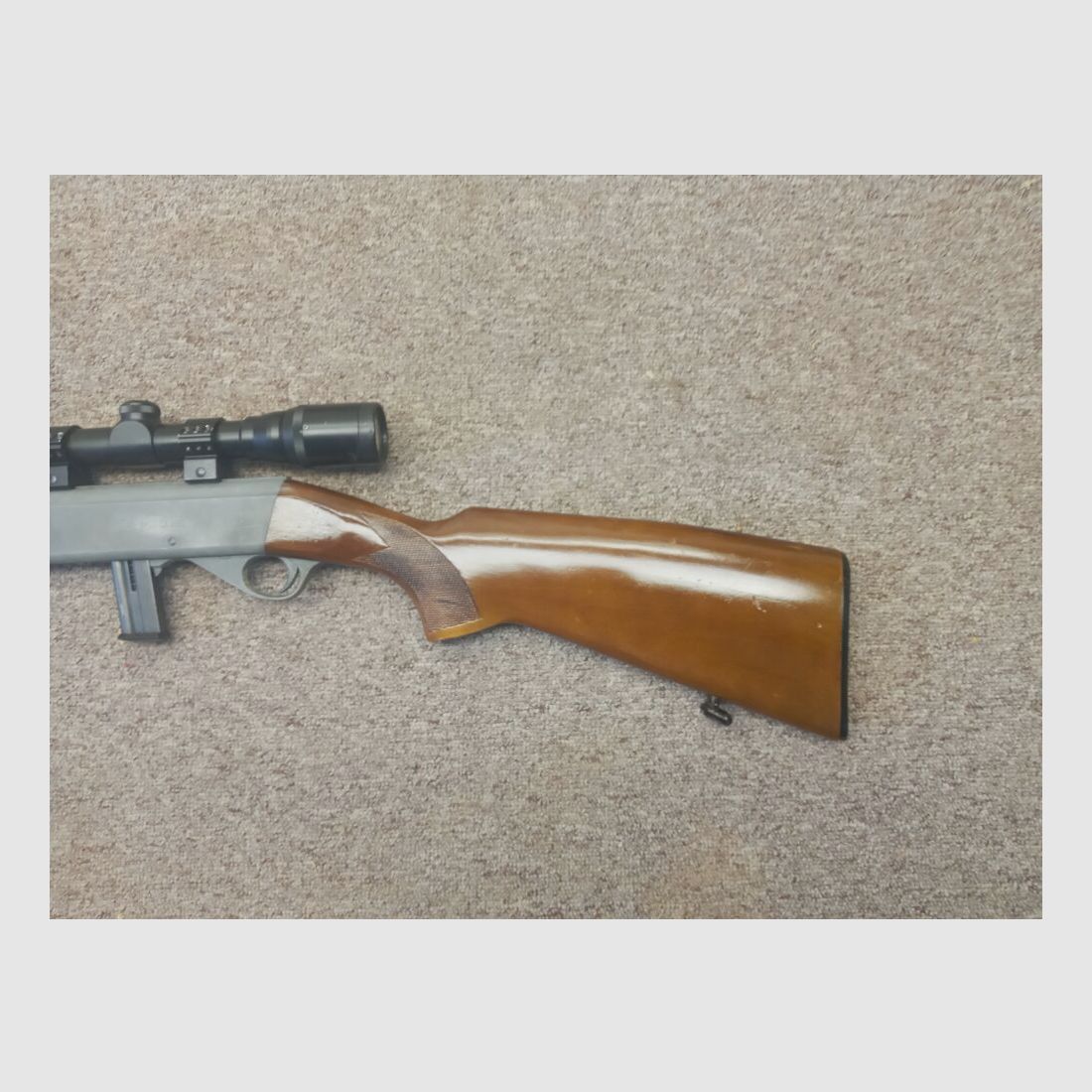Anschütz 300