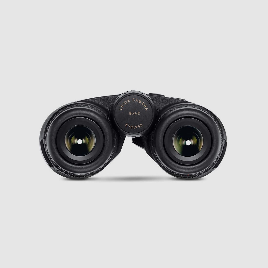 Leica Geovid R 8x42